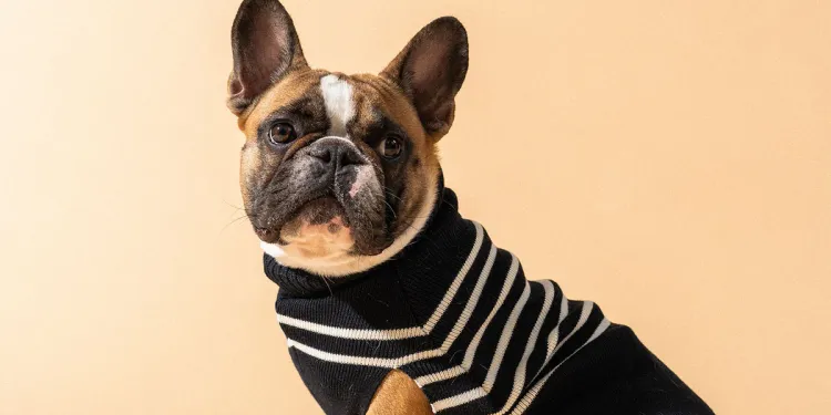 フランス欧州ビジネスニュース2025年9月1日(フリー)